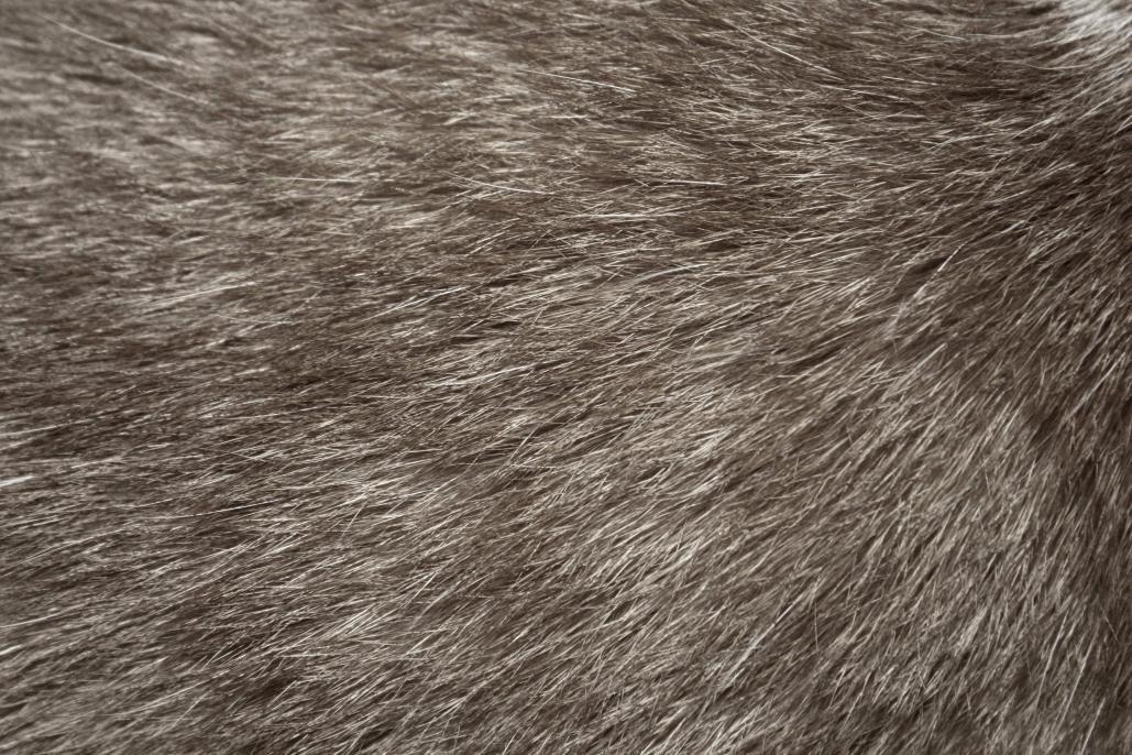 very nice rat fur texture